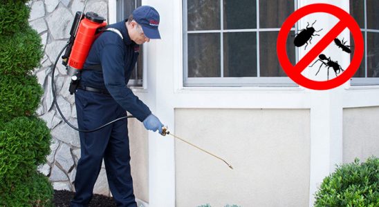 Büyükçekmece Böcek İlaçlama böcek ilaçlama ve haşere kontrolü — ilaclama-tr.com
